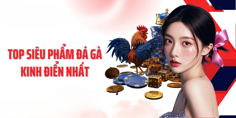 Đá Gà 6M88 – Sân Chơi Cá Cược Hấp Dẫn Và Đầy Tiềm Năng